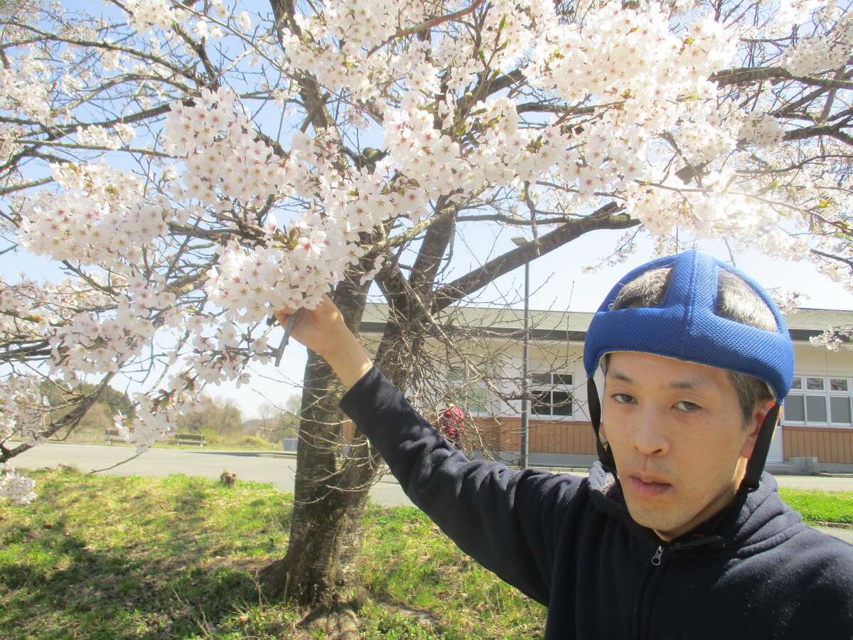 桜と一緒に写真撮影！